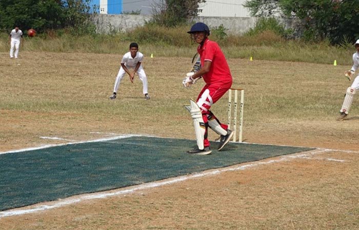 cricket